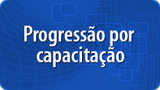 Icones Portal DGP Progressao por capacitacao